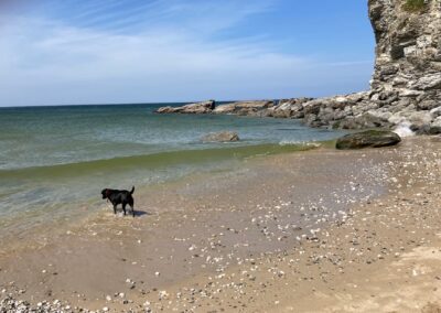 Porthtowan beach