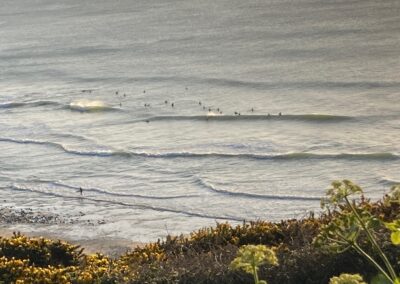 Surfers at Porthtowan beach
