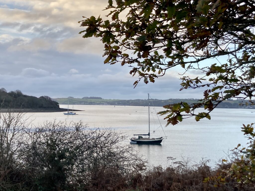 Trelissick, near Truro