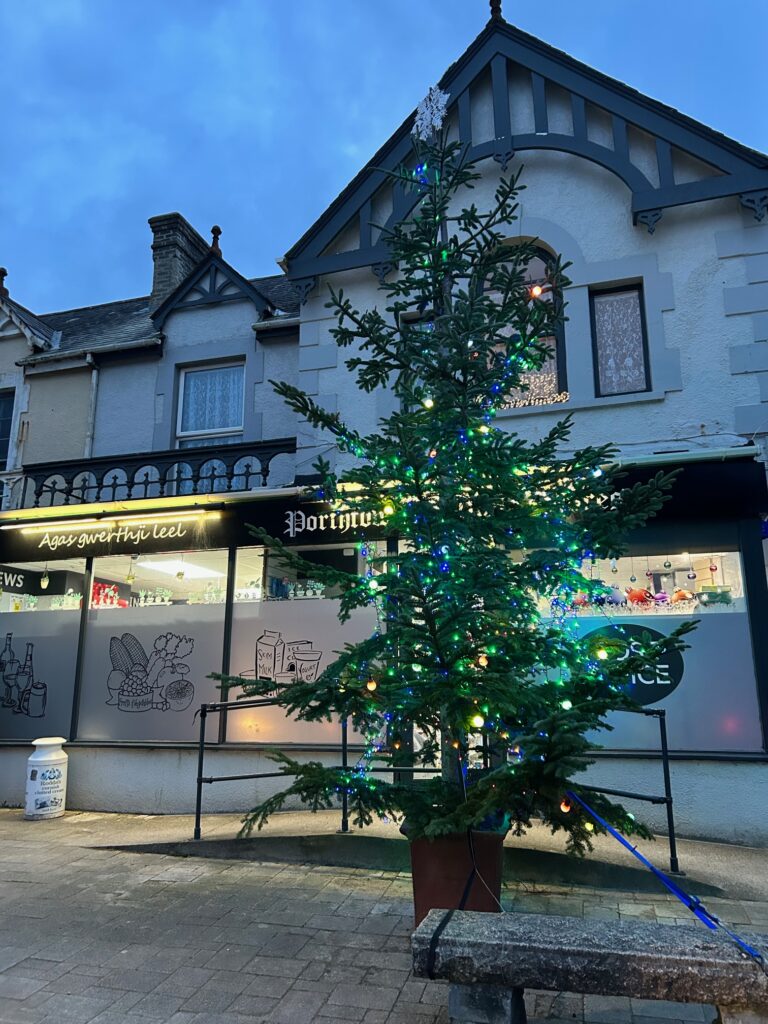 Christmas tree at Porthtowan village store 